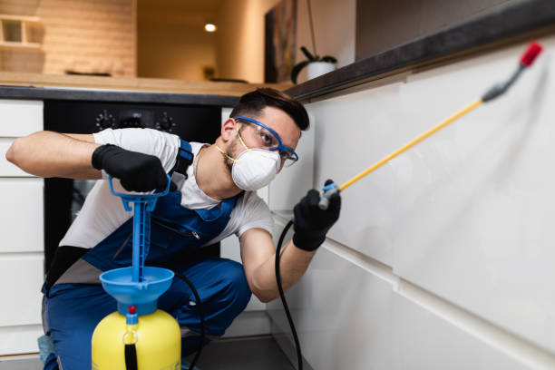 Best Pest Removal Services  in Taylor, MI