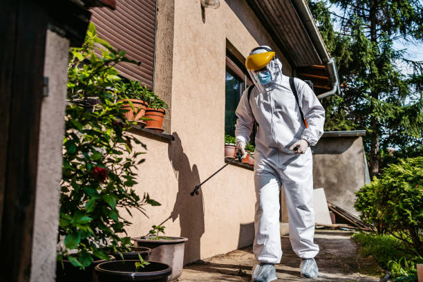 Best Residential Pest Control  in Taylor, MI