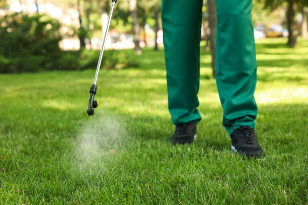 Best Cockroach Control Services  in Taylor, MI