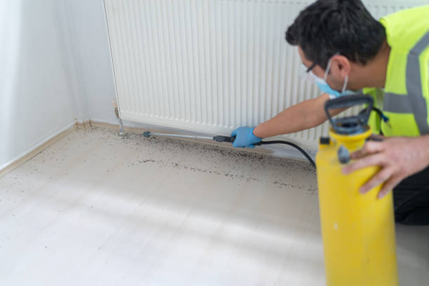 Best Termite Control Services  in Taylor, MI