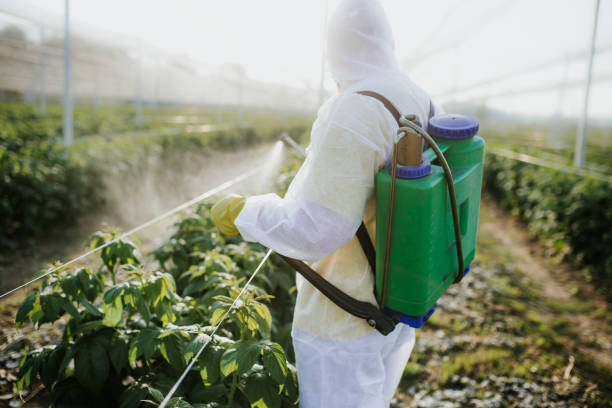 Best Affordable Pest Control Services  in Taylor, MI